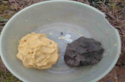 钓鱼诱饵如何制作？冬季选择哪些钓饵比较好？